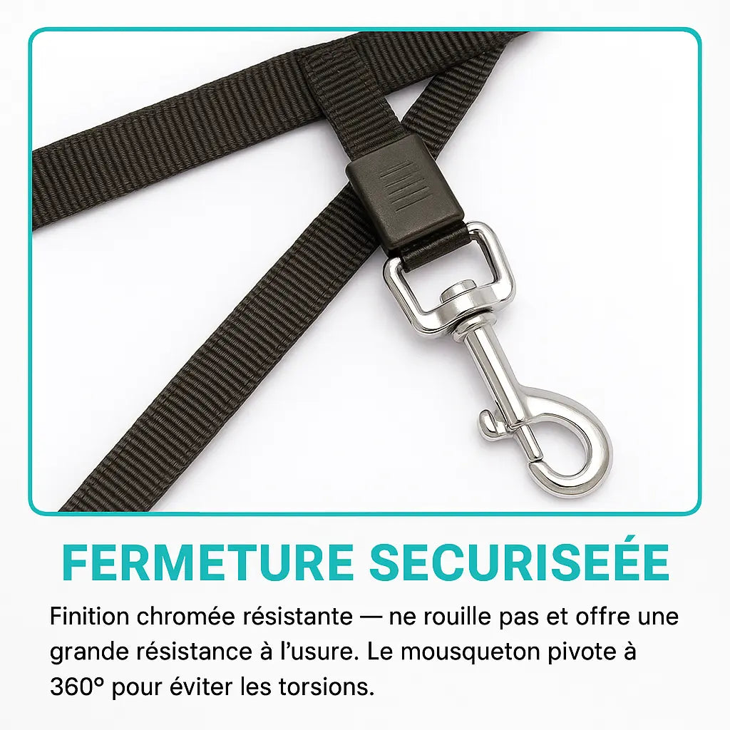 Laisse rétractable avec frein intégré et verrouillage sécurisé – Disponible en 2 tailles Ma boutique