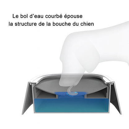 Gamelle d’eau pour chien à design flottant – anti-éclaboussures, antidérapante, grande capacité